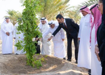 Tahmiah Food Company 100,000 trees initiative